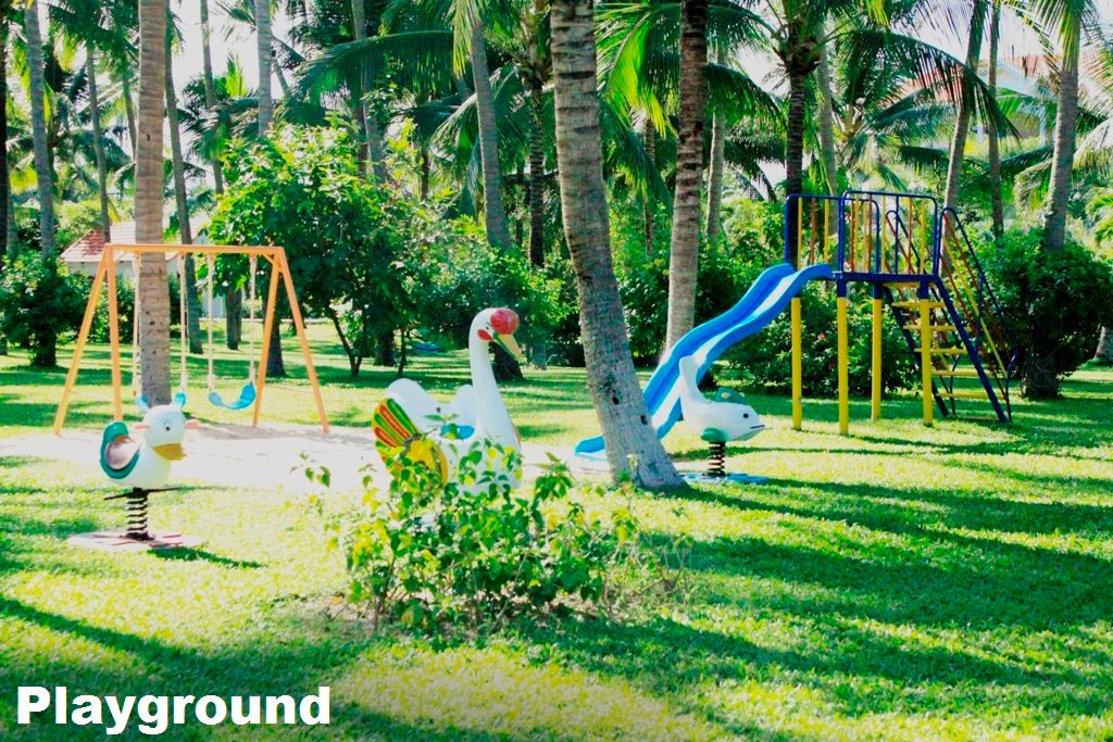 MUINE DE CENTURY - 16