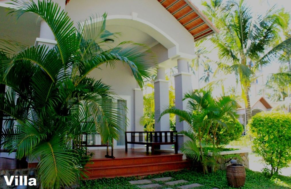 Картинка отеля - 13