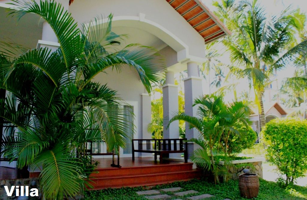 MUINE DE CENTURY - 13