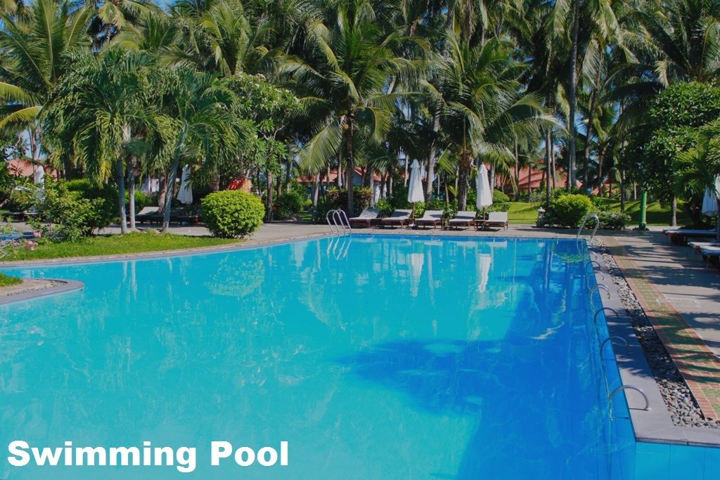 MUINE DE CENTURY - 3