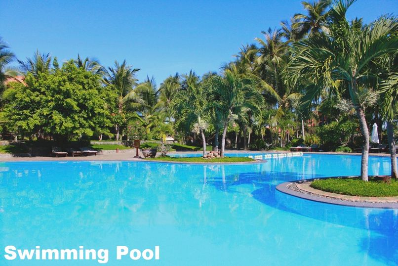 MUINE DE CENTURY - 2