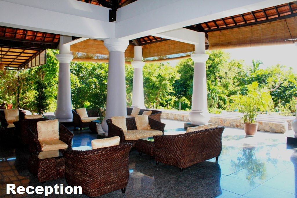 MUINE DE CENTURY - 1