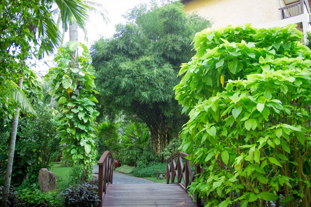 BAMBOO VILLAGE RESORT - 71