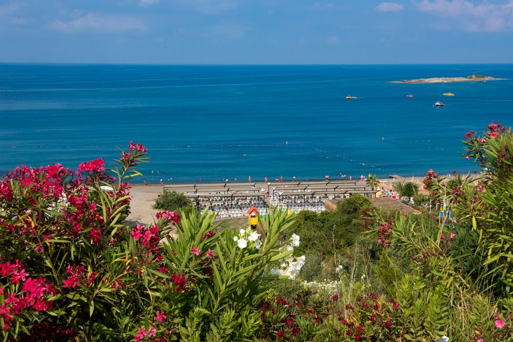 Картинка отеля - 11