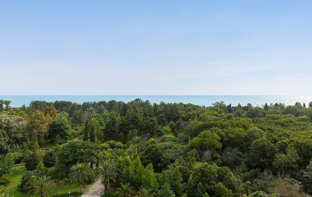 САМШИТОВАЯ РОЩА, санаторий стандарт - 68