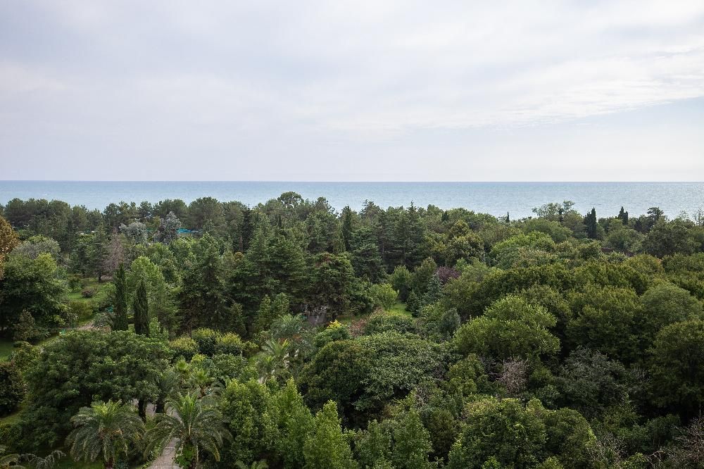 САМШИТОВАЯ РОЩА, санаторий стандарт - 58