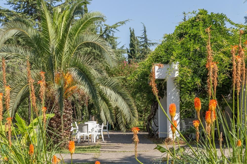 САМШИТОВАЯ РОЩА, санаторий стандарт - 9