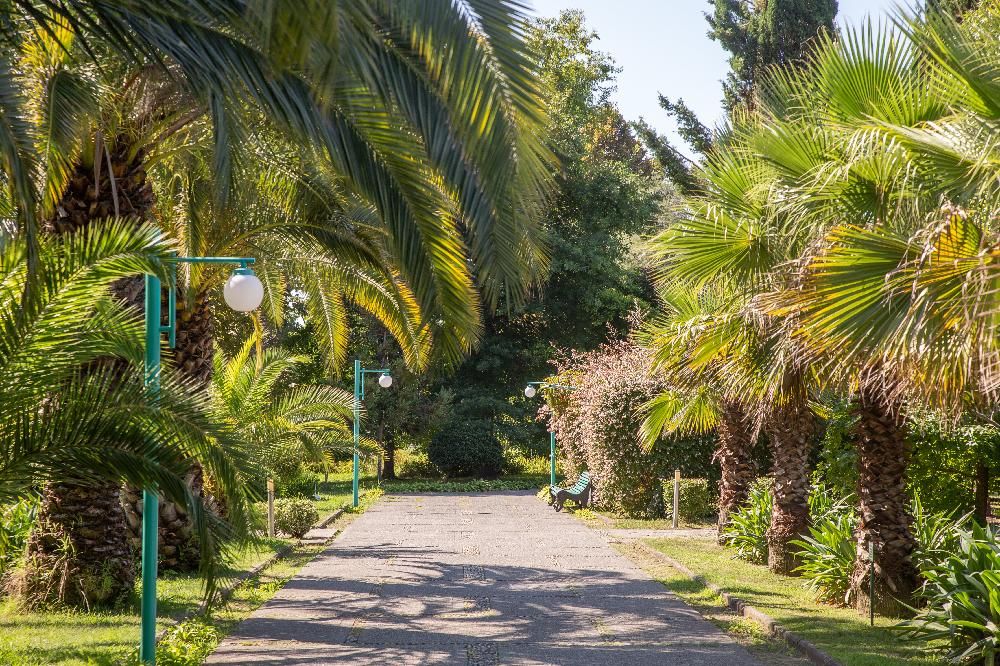 Картинка отеля - 35