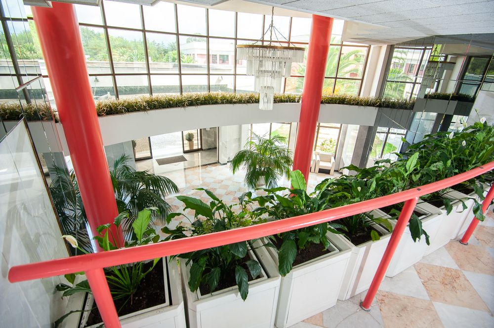 САМШИТОВАЯ РОЩА, санаторий стандарт - 12