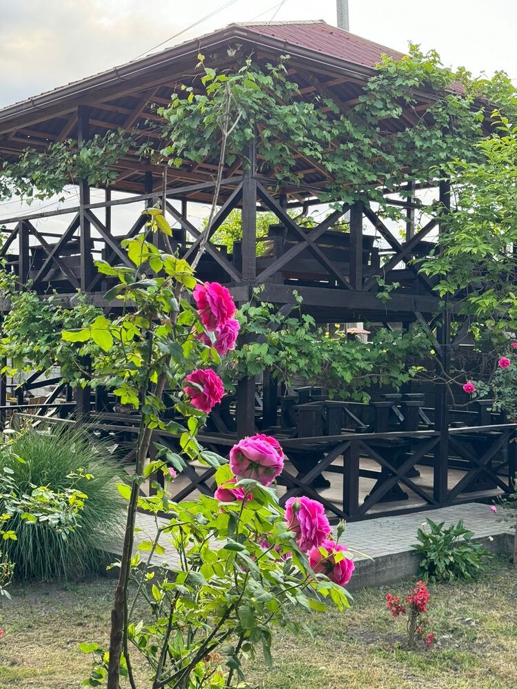 АНХАРА, отель эконом - 17