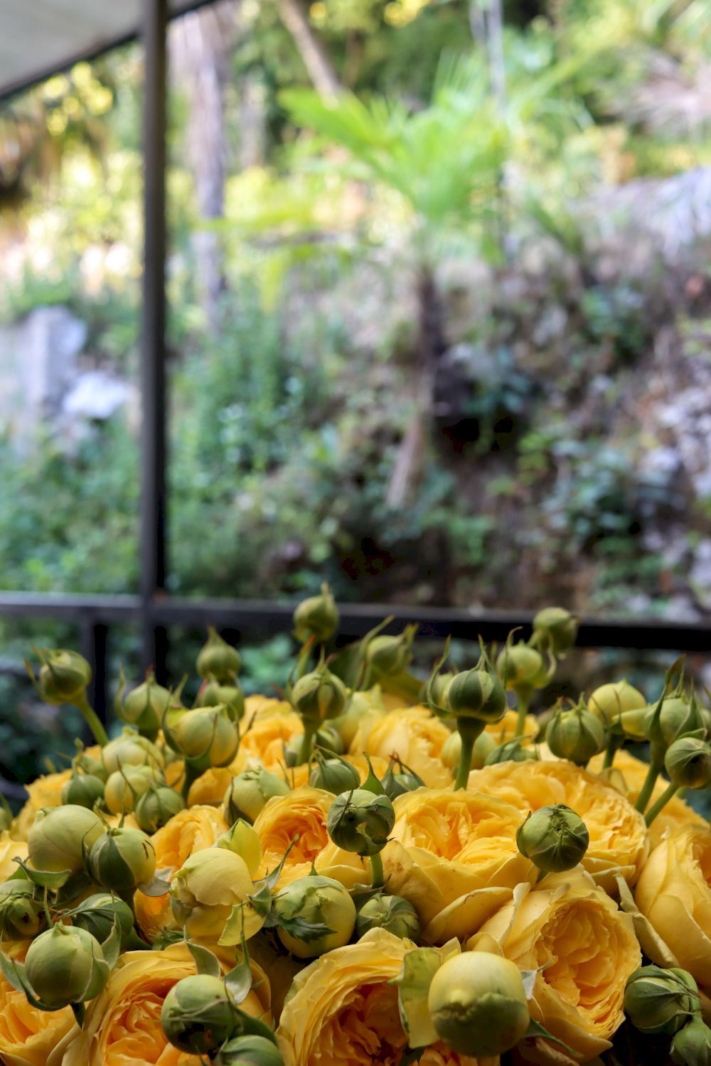 SKY TERRA, отель стандарт - 45