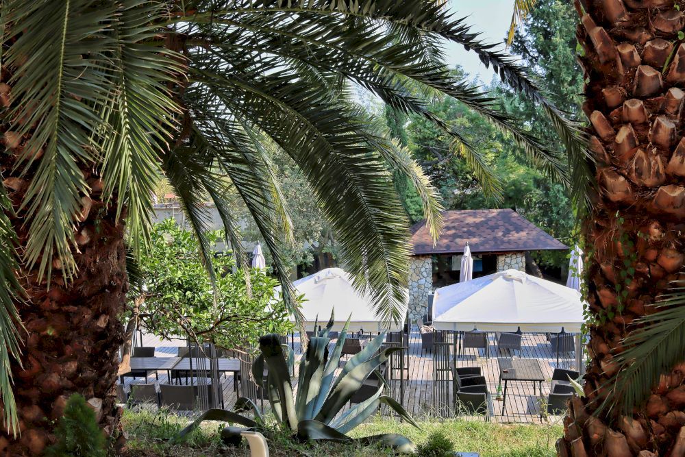 SKY TERRA, отель стандарт - 7