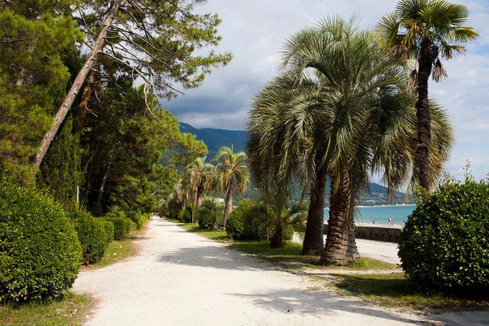 Картинка отеля - 8