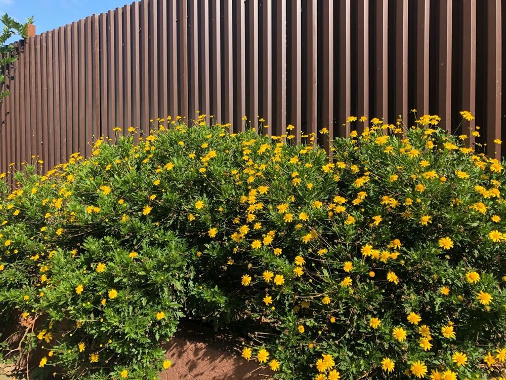 ЛА-ТЕРРАСА, гостевой дом эконом - 20