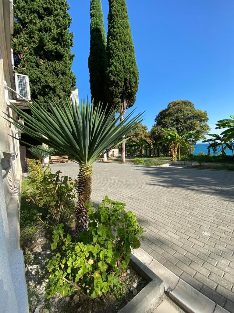 Картинка отеля - 12