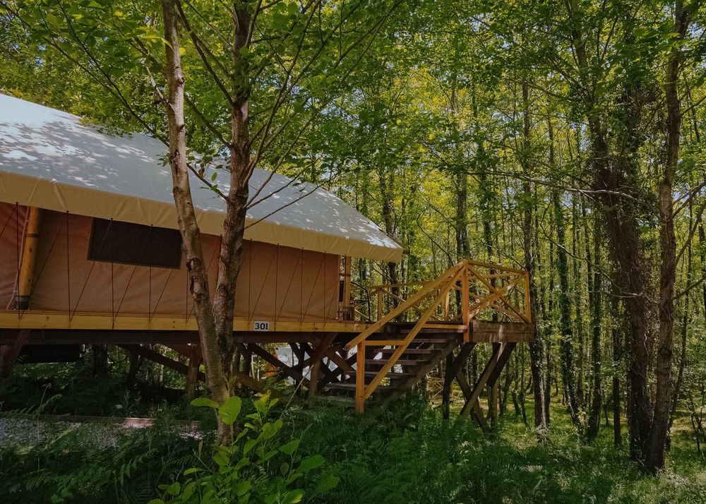 GARUDA GLAMPING ABKHAZIA, глэмпинг комплекс комфорт - 14