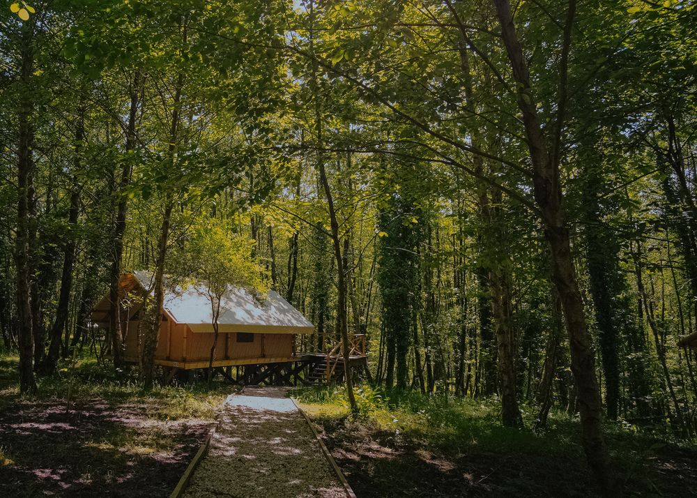 GARUDA GLAMPING ABKHAZIA, глэмпинг комплекс комфорт - 13