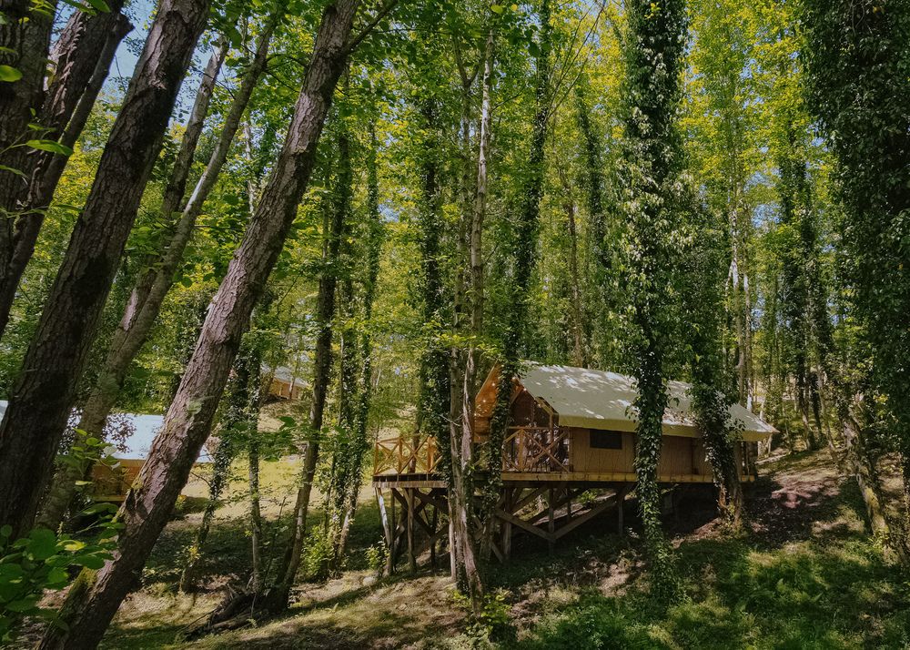 GARUDA GLAMPING ABKHAZIA, глэмпинг комплекс комфорт - 12