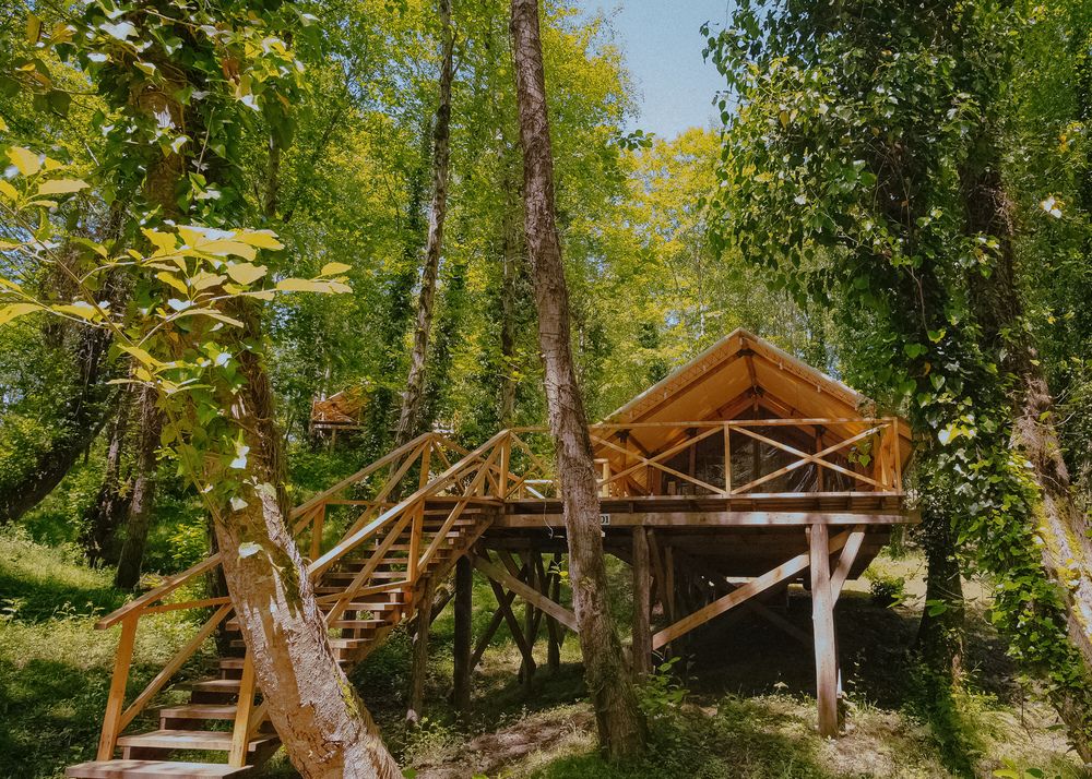 GARUDA GLAMPING ABKHAZIA, глэмпинг комплекс комфорт - 10
