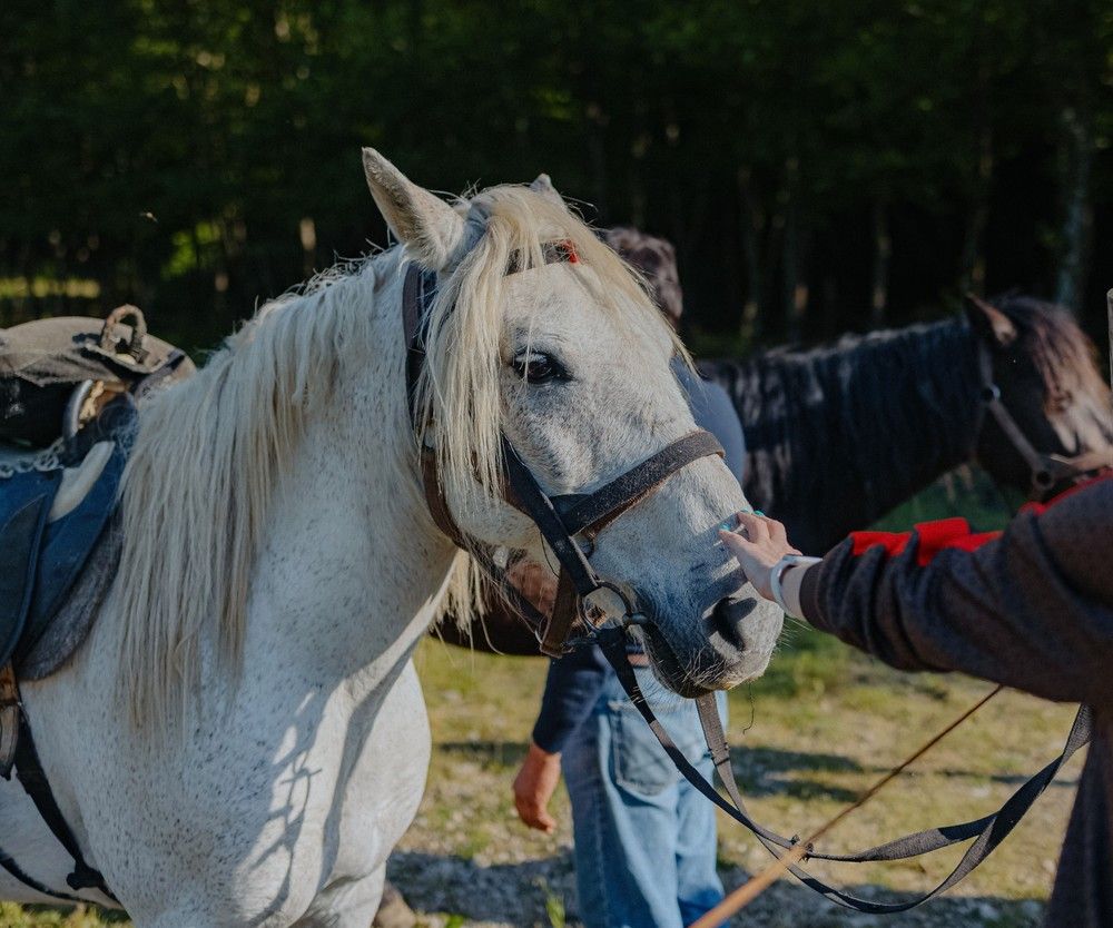 Картинка отеля - 76