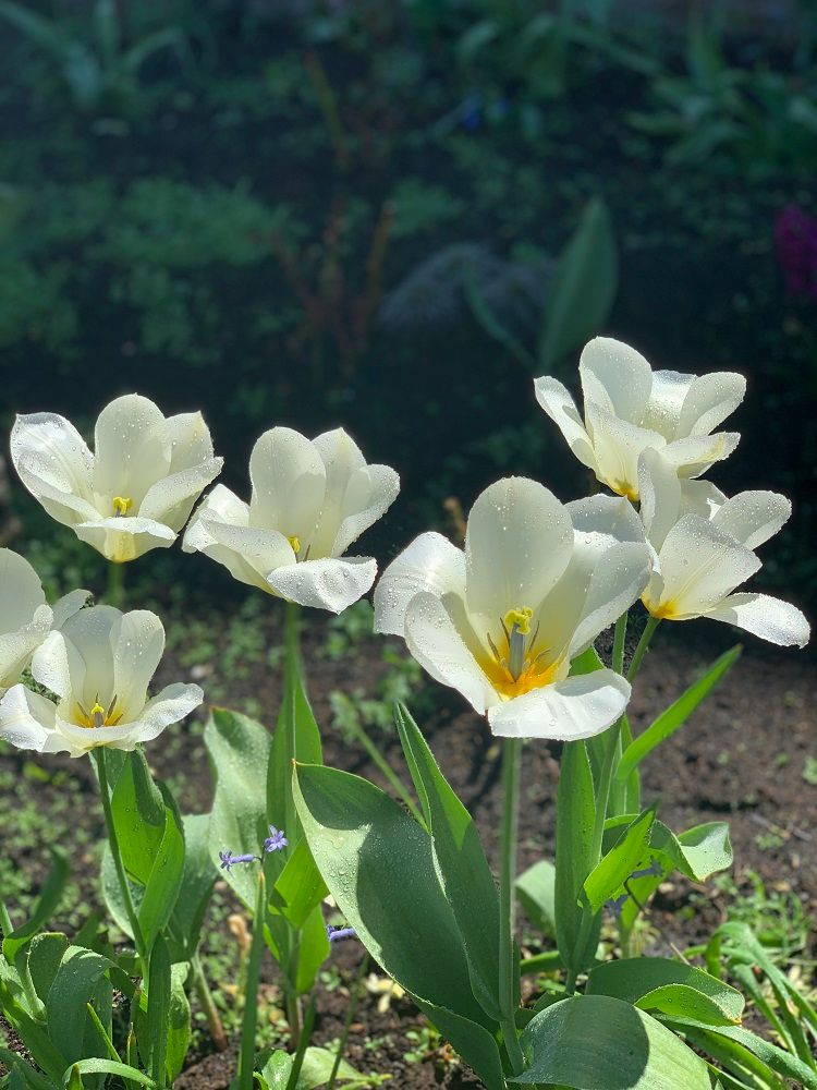 Картинка отеля - 13