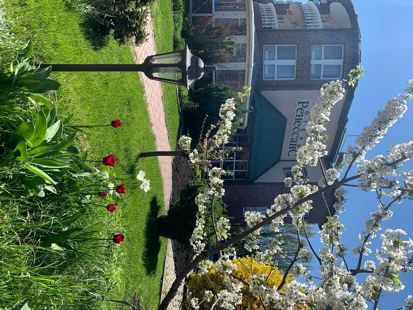 РЕНЕССАНС, отель - 3