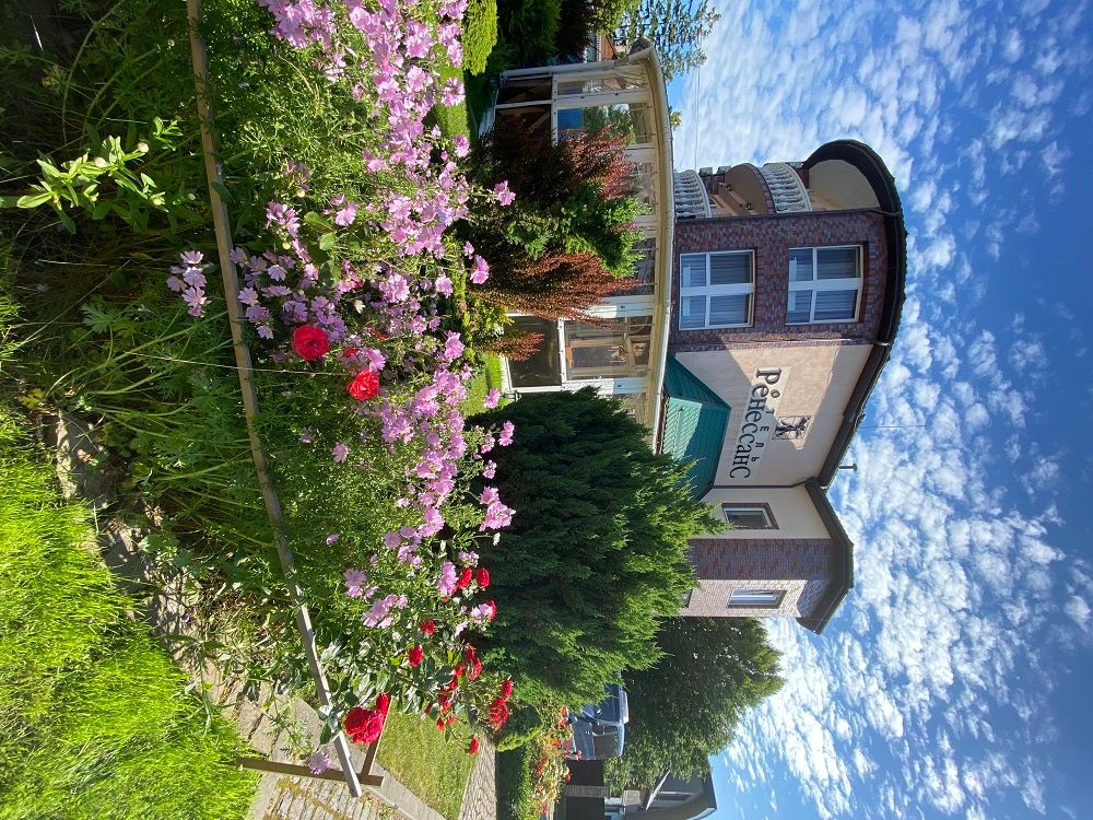 РЕНЕССАНС, отель - 1