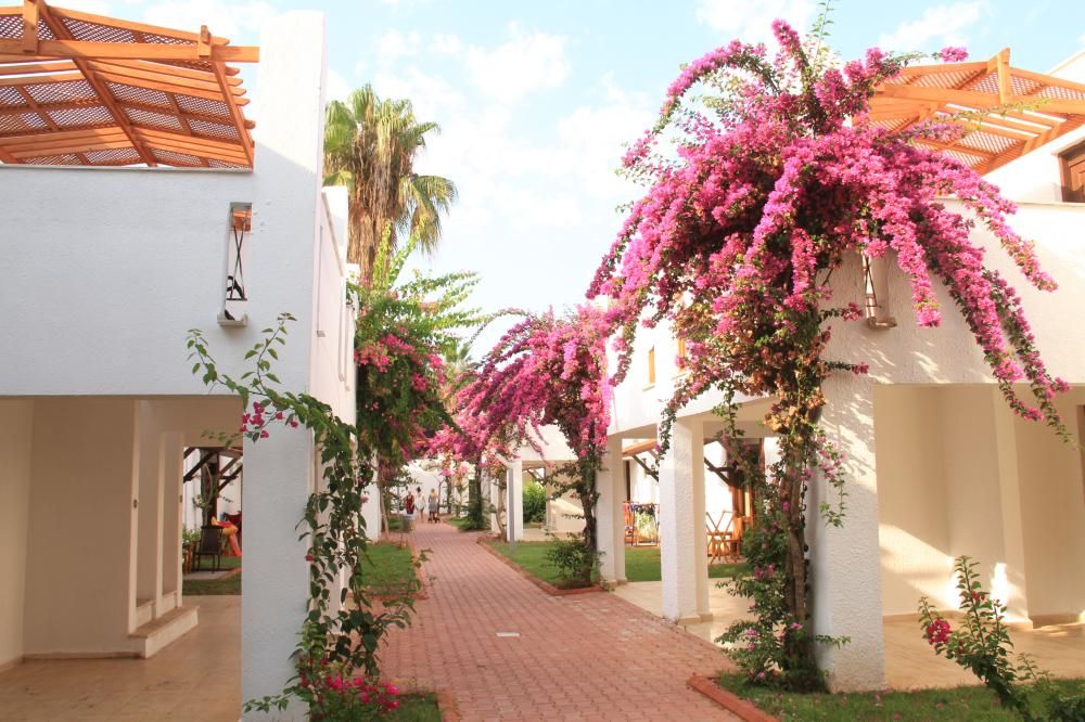 Картинка отеля - 51