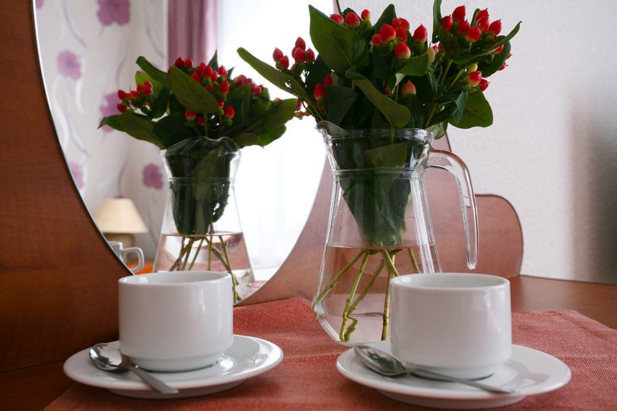 Картинка отеля - 13