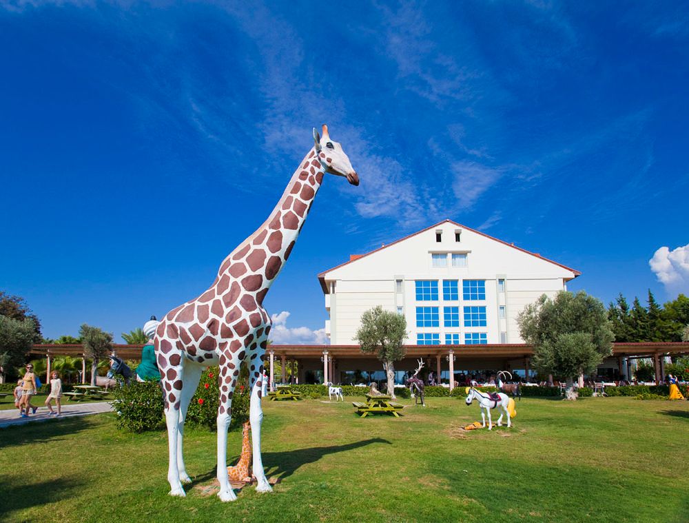 Sural Resort Hotel - 17