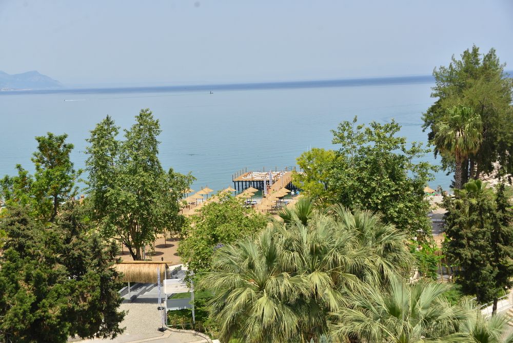 Картинка отеля - 14