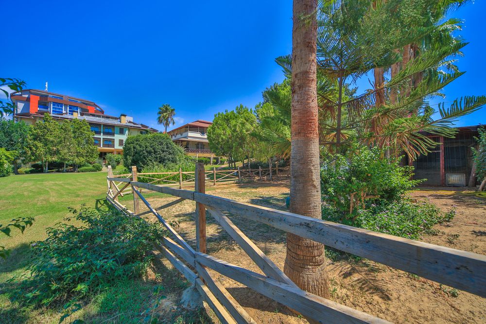 Lonicera Resort & Spa - 91