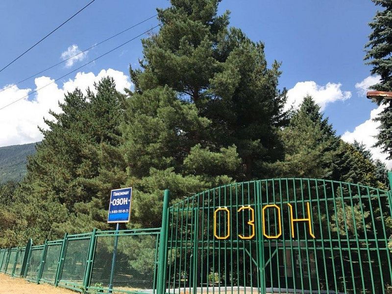 Картинка отеля - 3