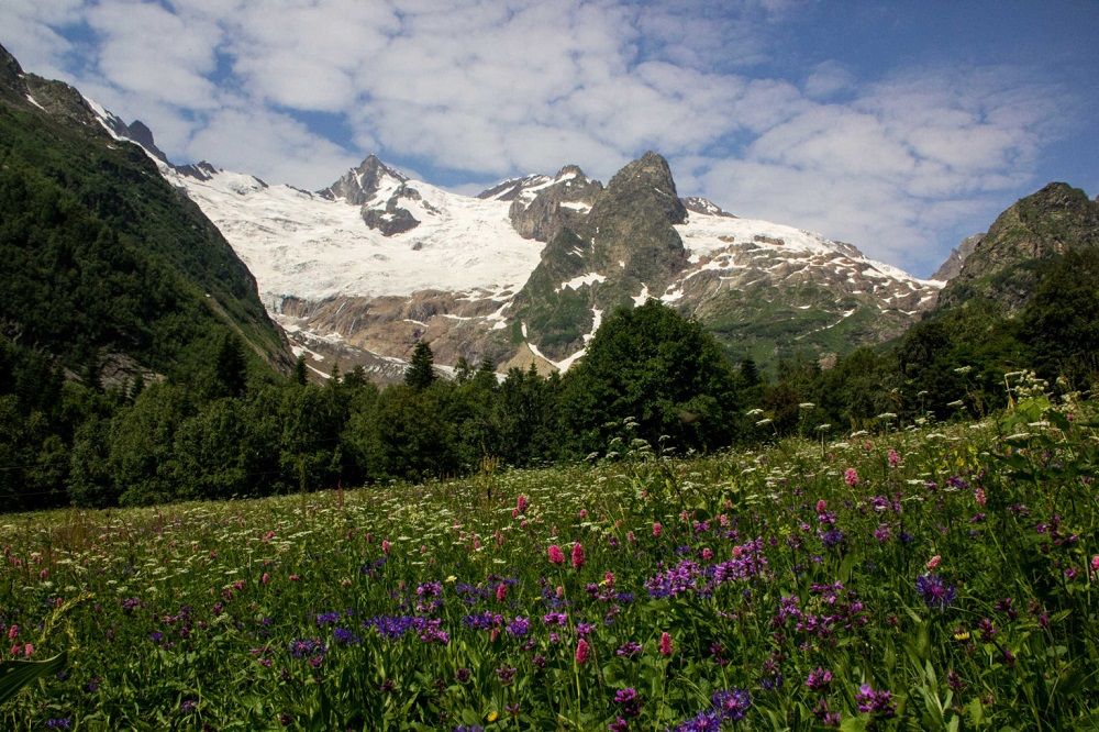 Картинка отеля - 7