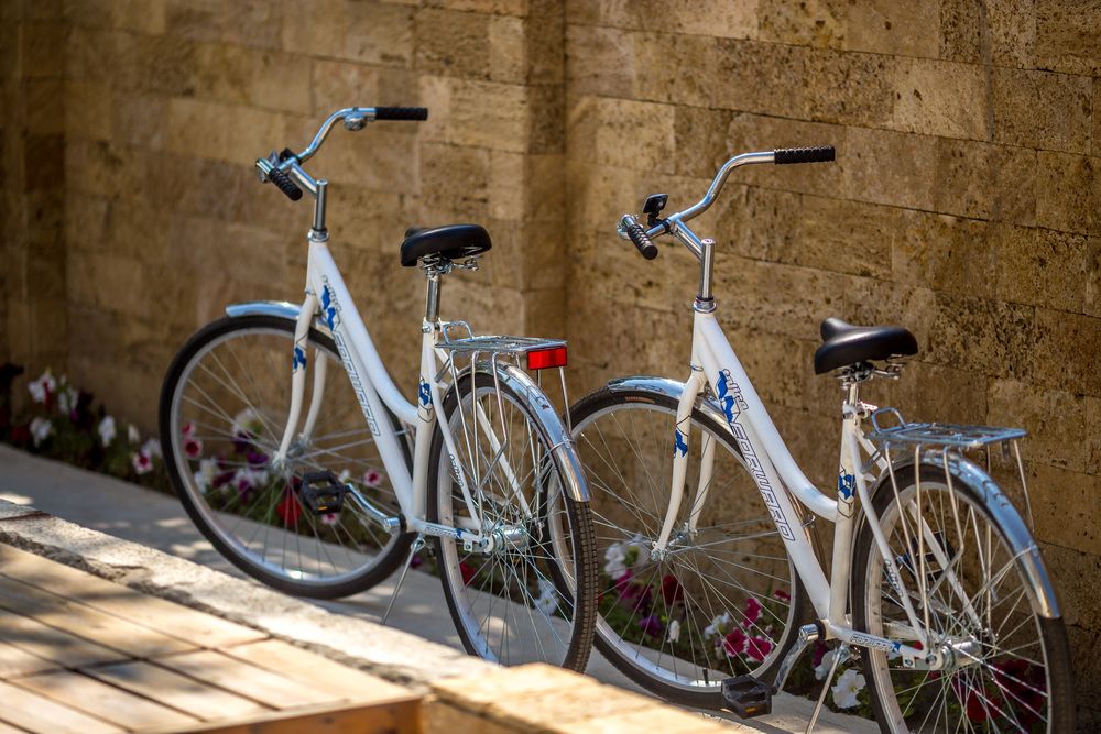 DUBLIN - DOLPHIN (ДУБЛИН - ДЕЛЬФИН), отель - 24