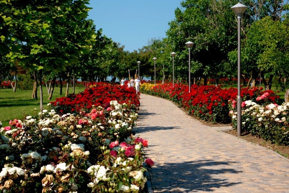 Картинка отеля - 8