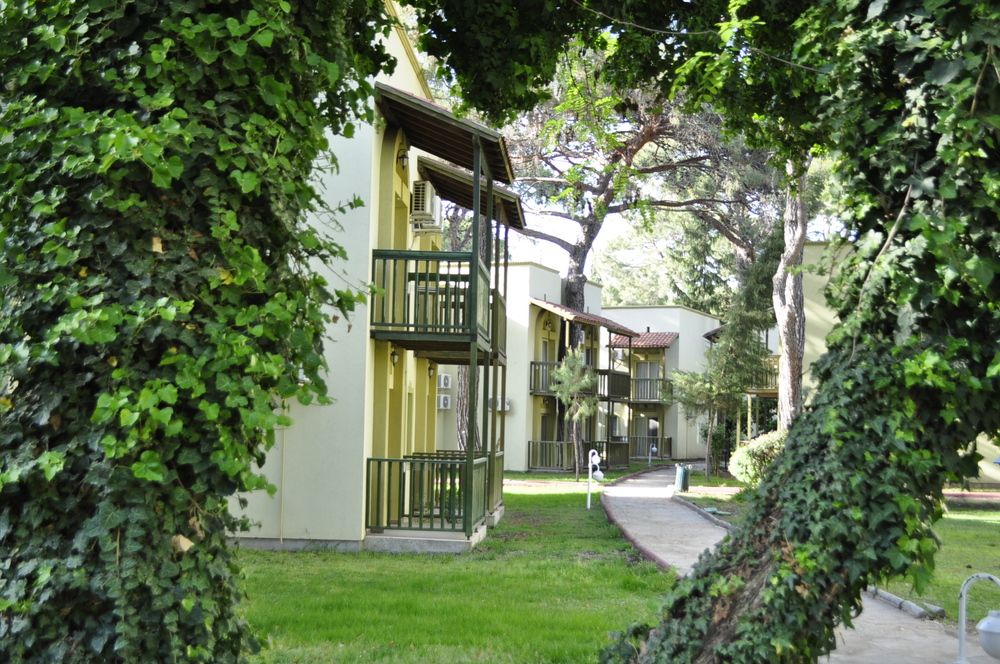 Картинка отеля - 8