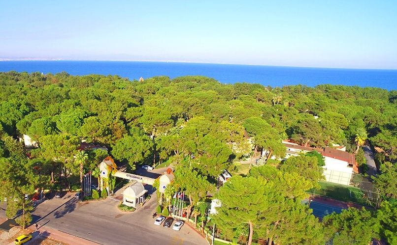 Gypsophila Club Marine - 6