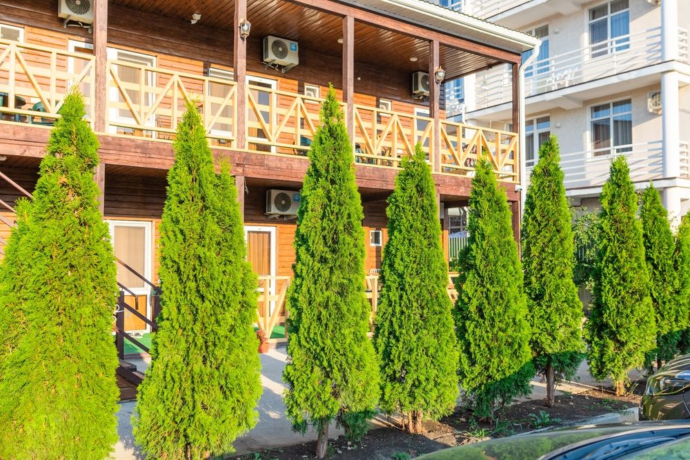 ЮЖНЫЙ БРИЗ, пансионат - 5