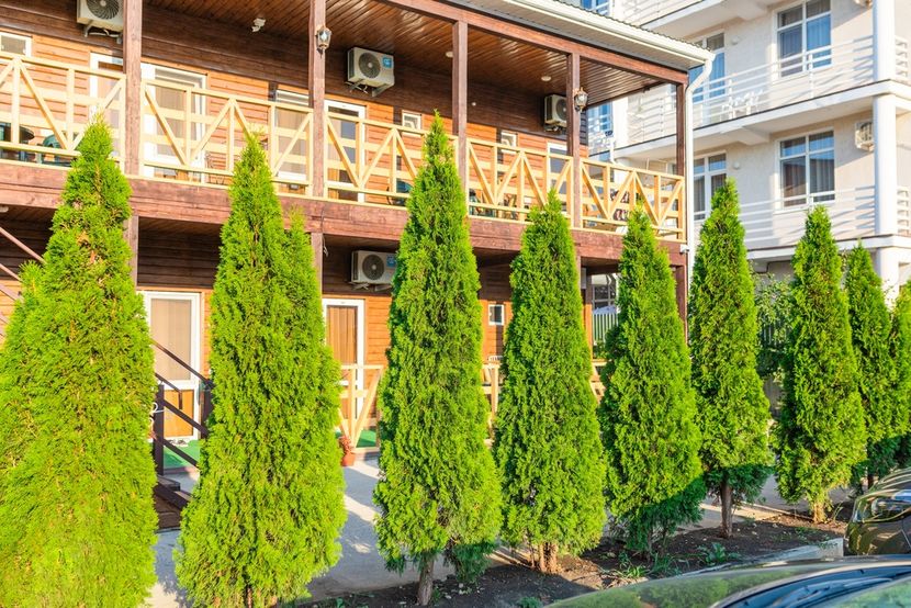 ЮЖНЫЙ БРИЗ, пансионат - 5