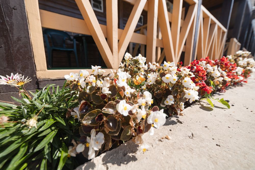 ЮЖНЫЙ БРИЗ, пансионат - 11