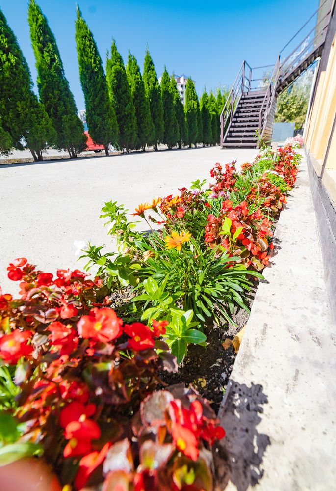 ЮЖНЫЙ БРИЗ, пансионат - 12