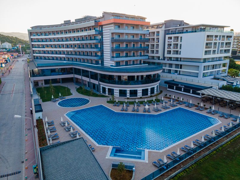 Lonicera Premium - 2