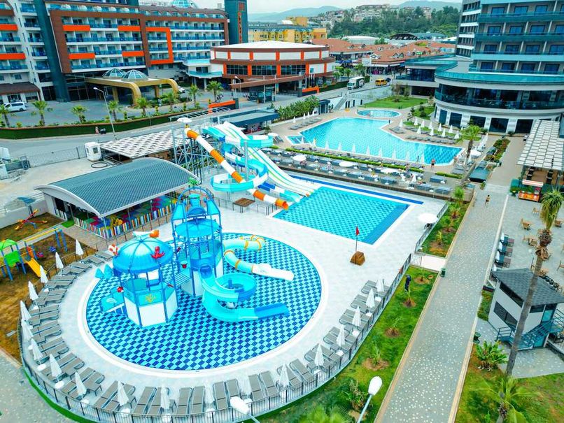 Lonicera Premium - 6