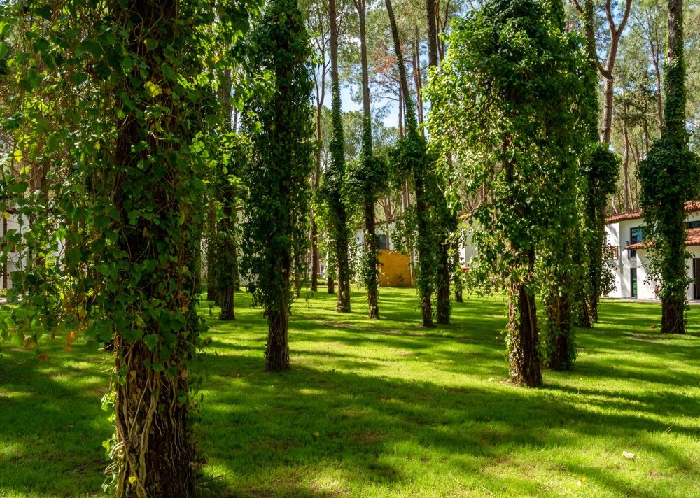 Картинка отеля - 12