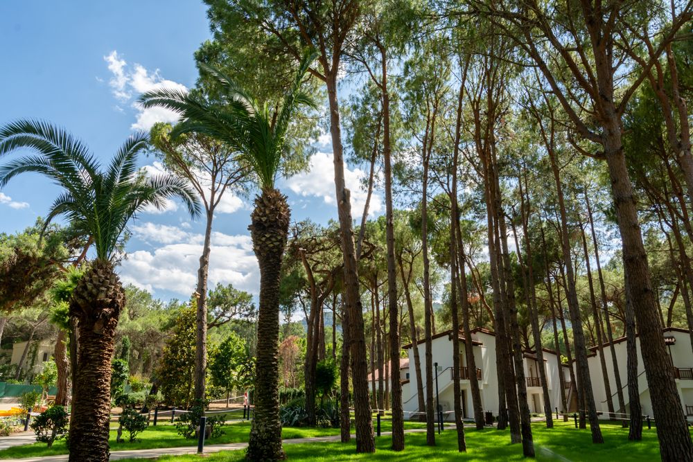 Картинка отеля - 4