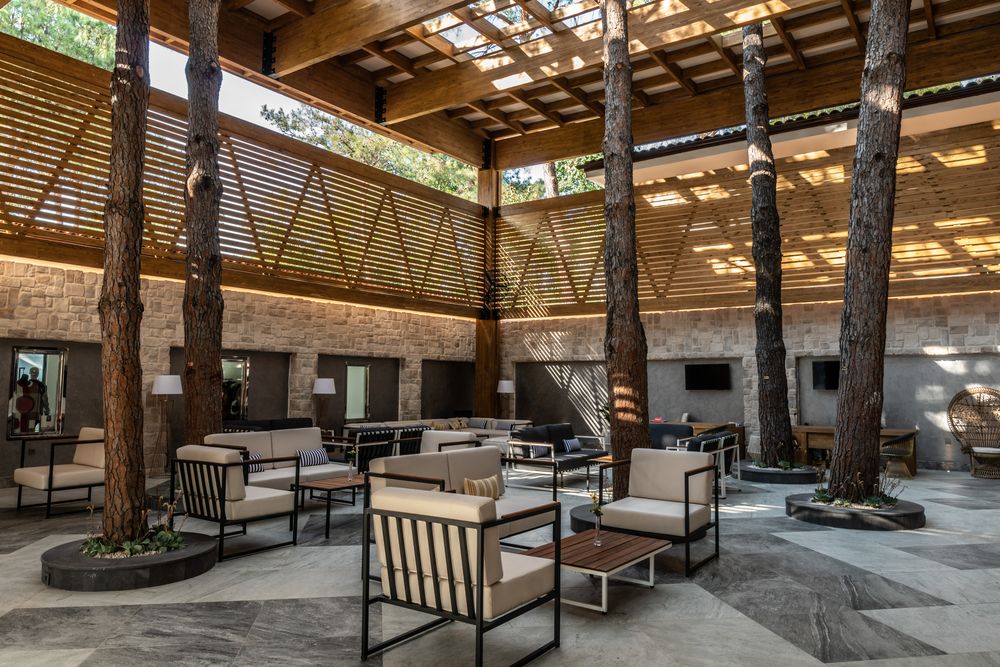 Картинка отеля - 27