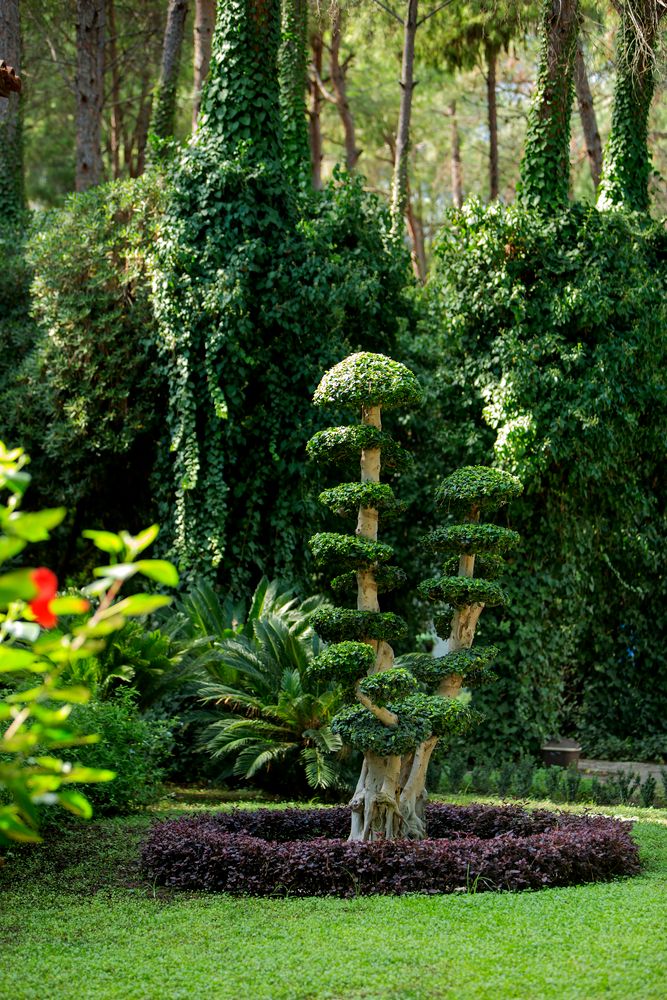 Baia Salima Kemer - 11