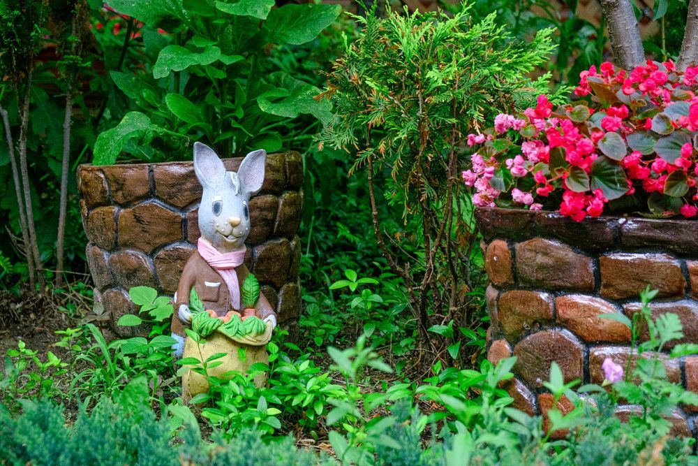 МОРСКИЕ РИФЫ, пансионат - 16