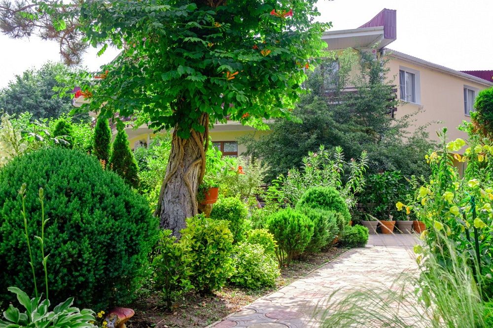 МОРСКИЕ РИФЫ, пансионат - 2